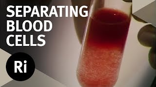 The Process of Blood Fractionation  Christmas Lectures with Walter Bodmer [upl. by Cathie]