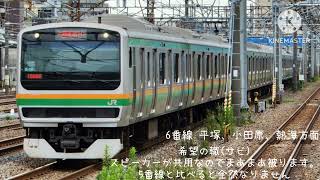 【発車メロディー】茅ヶ崎駅56番線発車メロディー希望の轍 発車メロディー 茅ヶ崎駅 希望の轍 [upl. by Atteroc]