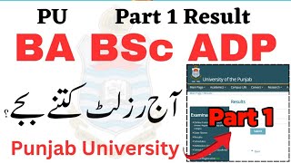 3rd Year BA BSc ADP Result 2024 PU  ADP Part 1 Result 2024  Ada Ads Part 1 Result 2024 PU [upl. by Laehplar352]