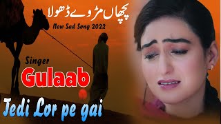 Mur Vey Dhola  Gulaab Official Video  New Punjabi Sad Song Sachidasbedarda meriwangvedhola [upl. by Nosmas73]