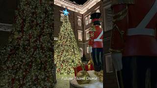 Lotte New York Palace Hotel Christmas christmas USA newyorkcity [upl. by Garson]