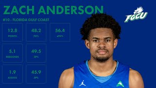 Zach Anderson  FGCU  202324 Transfer Portal Highlights [upl. by Gnehc]