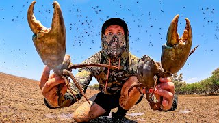 SURVIVING Remote Australia  GIANT CRABS Catch and Cook Millions of Flys [upl. by Fessuoy]