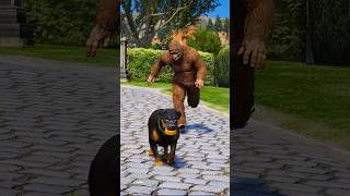 Dogs teach us love in its purest form  GTA V  shorts 9 [upl. by Elbys]