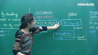 JEE Chemistry  Introduction to Solution  Theory  In English  Misostudy [upl. by Shell]