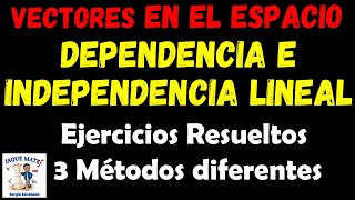 Dependencia e independencia lineal de vectores [upl. by Esoj]