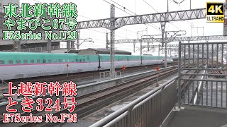 東北新幹線やまびこ67号＆上越新幹線とき324号 E5系U29編成 E7系F26編成 240620 JR Tohoku Shinkansen Omiya Sta [upl. by Oirasec96]