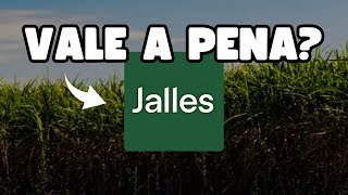 JALL3 VALE A PENA JALLES MACHADO PAGA DIVIDENDOS [upl. by Aivila]