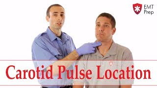 How to Find the Carotid Pulse  EMTprepcom [upl. by Rebmyt]