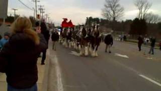 Budweiser Clydesdales in Sturbridge MA [upl. by Norda595]