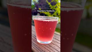 superberrykombuchatea fizzyicedtearasberry blueberryoolong teaguthealth refreshing [upl. by Mercedes877]