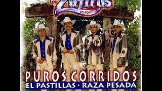 El Michoacano  Los Zafiros Del NortePuro Corridos [upl. by Neerom]