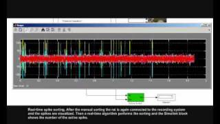 Realtime spike sorting of hippocampal place cells [upl. by Ayerim]