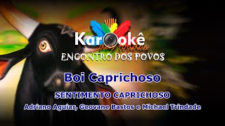 Karaokê Sentimento Caprichoso  Boi Caprichoso 2010 [upl. by Sillad]