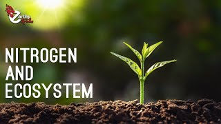 How Is Nitrogen Important To Terrestrial Ecosystem [upl. by Reo]