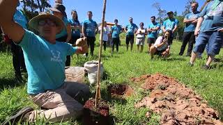 Sítio Ecológico Semeando Plantando boas ideias espalhando boas sementes [upl. by Davey]