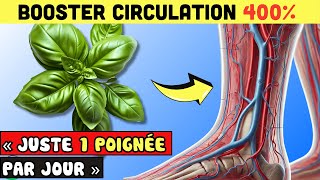 LUTTER CONTRE Mauvaise Circulation Jusqu’à 99 Avec Ces Herbes NATURELLES   Allez Santé [upl. by Leland]