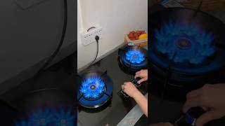 Electric Gas Stove techgadgets shorts [upl. by Neih]