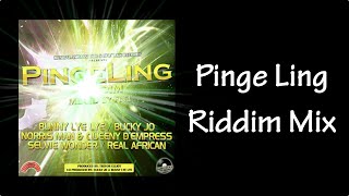 Pinge Ling Riddim Mix 2015 [upl. by Aznecniv]