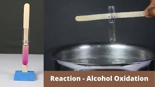 Reaction  Alcohol Oxidation  ThinkTac  Science Experiment [upl. by Rowan23]