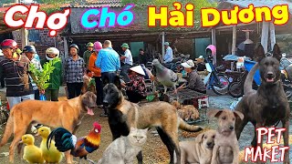 Phiên chợ độc đáo hàng đầu Việt Nam có gì [upl. by Ocicnarf331]