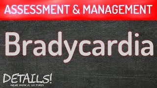 Bradycardia  Assessment amp Management  Details [upl. by Pedaias844]