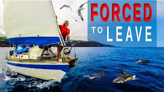 FORCED to LEAVE  Seeking Safe Harbour  Sailing Florence Ep167 [upl. by Lurette]