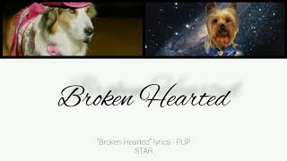 Broken Hearted lyrics  PUP STAR [upl. by Renba802]