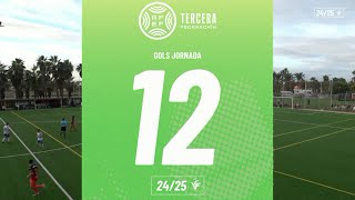 Resum Gols Tercera RFEF Grup VI Jornada 12 [upl. by Mcnamara]