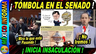 ¡TÓMBOLA EN EL SENADO MIRA LO QUE ESTÁ PASANDO PAN Y MC DECIDIERON NO IR [upl. by Annovad]