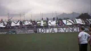 ultras avezzano  avanti curva nord [upl. by Enitsirhk513]