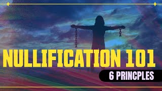 Nullification 101 6 Core Principles [upl. by Adiahs]