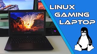 Star Labtop Pro Linux Gaming Laptop [upl. by Rehpotsrihc]