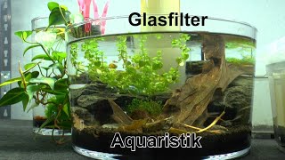 Aquarium Rundglas Glasfilter wird belebt und viele Geschichten aus und mit den Aquarien [upl. by Lorolla]