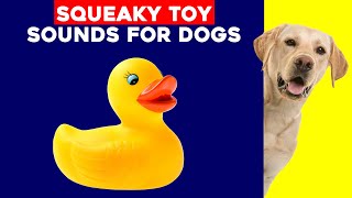 Squeaky Toy Dog Toy  Sounds for Dogs Reason To Watch Now [upl. by Lila415]