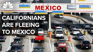 Why Californians Are Fleeing To Mexico [upl. by Nomolos]