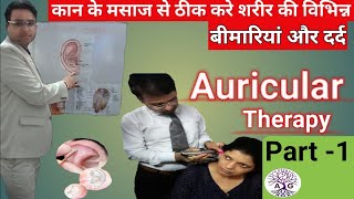 Lecture on Auricular Therapy Part1 AG Magnetic Dr Amit Gupta [upl. by Aleel]