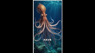 The Mysteries of the Giant Squid Revealed [upl. by Ehsiom]