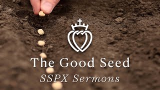 The Good Seed  SSPX Sermons [upl. by Yeoz]