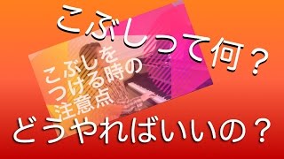 歌 こぶしのやり方①Ai Storyカラオケ高得点の秘訣コツ [upl. by Dacey384]