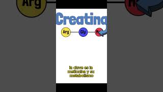 👉💪DESCUBRE Qué es REALMENTE la CREATINA MONOHIDRATO creatinamonohidratada creatina creatine [upl. by Rammus214]