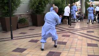 Shi Yan Xu performs Da Hong Quan at Shaolin Movie Premiere 09092011 Hollywood [upl. by Burn]