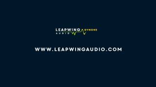 Leapwing Audio  DynOne Tutorial [upl. by Nebur]