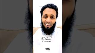 Emotional Quran Recitation Mansour Al Salimi  love mansuralsalimi duet quran mansouralsalimi [upl. by Rainwater171]