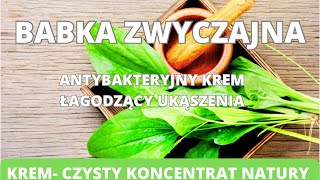 Babka zwyczajna krem  czysty koncentrat natury Antybakteryjny krem łagodzący ukąszenia [upl. by Enawtna972]