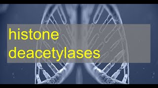 Histone Deacetylase HDAC Activity Assay [upl. by Atinaujnas]