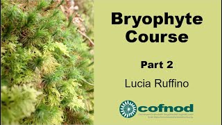 Bryophyte Course Part 2 [upl. by Millford]