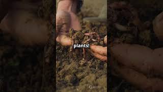 5 Soil Types Every Gardener Should Know in 60 Seconds 🌿🌱SoilTypes GardeningTips GreenThumb [upl. by Aital]