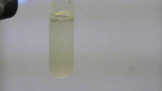 Cadmium Chemistry Cadmium Sulfide via Sodium Polysulfide [upl. by Blus]