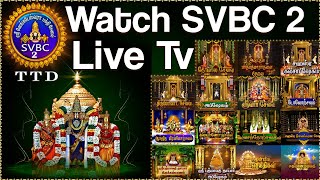 Live Sri Padmavati Ammavari Kalyanotsavam  Tiruchanoor  SVBC2 Tamil Live Streaming  SVBC TTD [upl. by Eelatan]